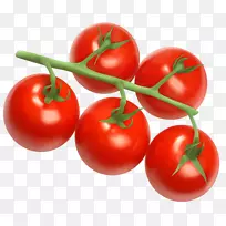 樱桃番茄蔬菜剪贴画-番茄剪贴画