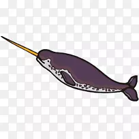 独角鲸齿鲸剪贴画-小独角鲸剪贴画