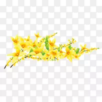计算机图标adobe插画花卉花卉