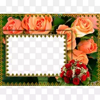 花画框、电影框、剪贴画.抽象花框png