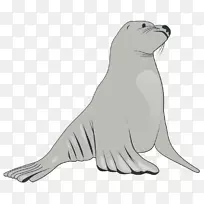 海狮象海豹剪贴画-河马艺术