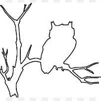 猫头鹰鸟轮廓画夹艺术猫头鹰轮廓