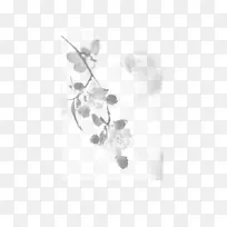 黑白梅花-梅花