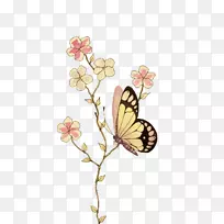 水彩画模板插图.蝴蝶