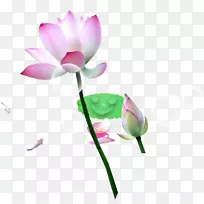 莲藕鱼