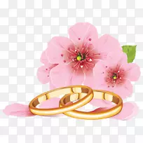 婚礼邀请函、戒指、剪贴画.带金戒指的手绘粉红芙蓉