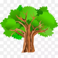 巨型红杉橡树剪贴画-夏季树木剪贴画