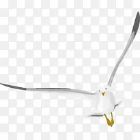 设计师-海鸥以生动的图案飞翔。
