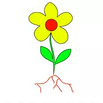 花卉根植物茎叶剪贴画花茎模板