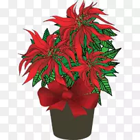 一品红植物圣诞剪贴画