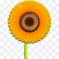 普通向日葵剪贴画免费太阳