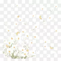 白花壁纸-小白花