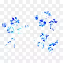 兰花-蓝白色兰花