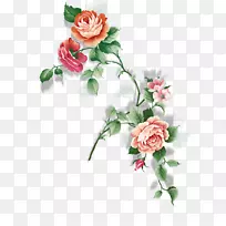 花园玫瑰，月季，蜈蚣玫瑰，花-水彩花