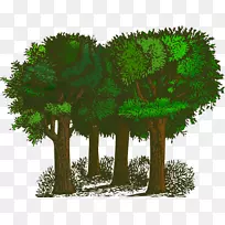 树木灌木丛免费内容剪辑艺术绿色森林树木剪贴画