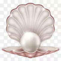 蛤蜊珍珠贝壳剪贴画-珍珠贝壳剪贴画