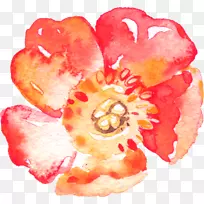 无酸纸圣经油墨水彩画花