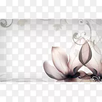 花卉摄影桌面壁纸花瓣-花优雅的背景