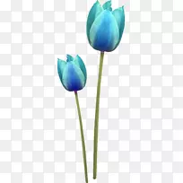 郁金香切花剪贴画-绿花