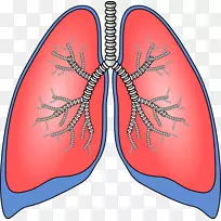 肺慢性阻塞性肺疾病夹呼吸夹