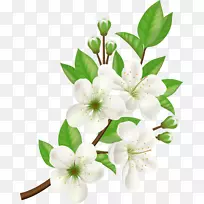 免费电脑图标花卉手绘白花