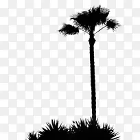 碳足迹生态足迹可持续性树木剪贴画-剪影棕榈树
