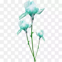 蓝色-冷色花朵