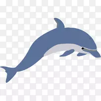 海豚免费内容剪辑艺术-海豚卡通形象