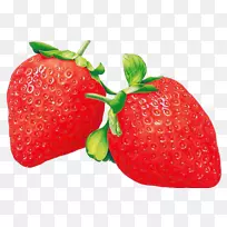 多媒体放映机红色奥格里斯幼儿园草莓水果免费拉