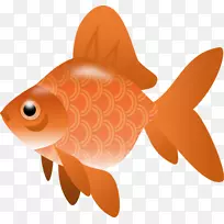 鱼类剪贴画-免费鱼类剪贴画