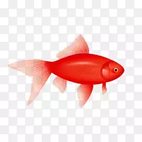 一条鱼，两条鱼，红鱼，蓝鱼比目鱼剪贴画-红鱼剪贴画