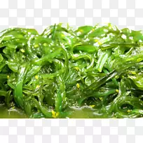 素食菜螺旋藻藻类素食海藻-螺旋藻免费下载