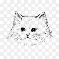 波斯猫画黑猫素描拉料