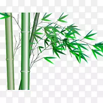 竹子透明和半透明免费下载材料