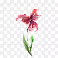 水彩画免费水彩画手绘花卉拉料
