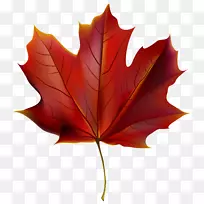 秋叶色红色剪贴画-美丽的秋季剪贴画