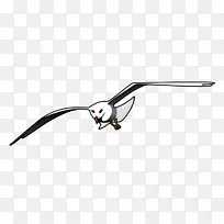 海鸥欧洲鲱鱼鸥鸟夹艺术海鸥图形