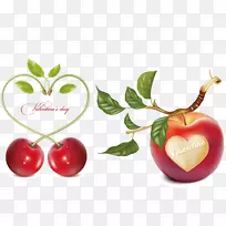 贴标签-浪漫的心形载体材料樱桃和苹果