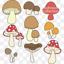 食用菌画.手绘动画蘑菇