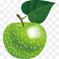 苹果绿色信息图形-绿色苹果载体材料