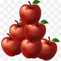布什番茄巴巴多斯樱桃素食菜蔓越莓红苹果