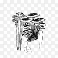 黑白手拉蘑菇，不拉料。