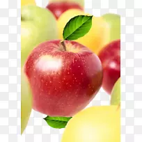 苹果载体-红苹果绿苹果