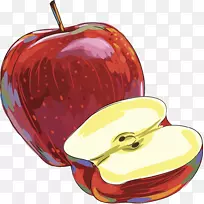 苹果绘图插图-切苹果图片