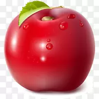 苹果番茄剪贴画-红色美味苹果
