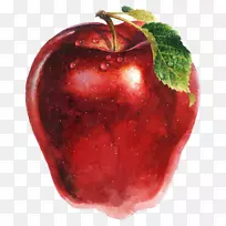 苹果绘制草莓插图.手绘苹果图片