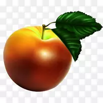 苹果番茄-苹果卡通材料