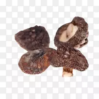 亚洲菜香菇真菌棕色干蘑菇