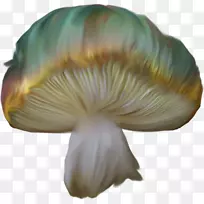 牡蛎香菇花瓣手绘蘑菇