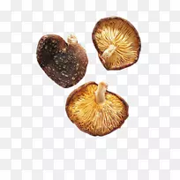 香菇-黄干蘑菇